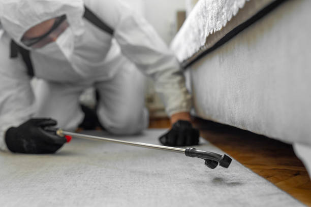 Professional Cockroach Control technician working in Mountain Home AFB, ID