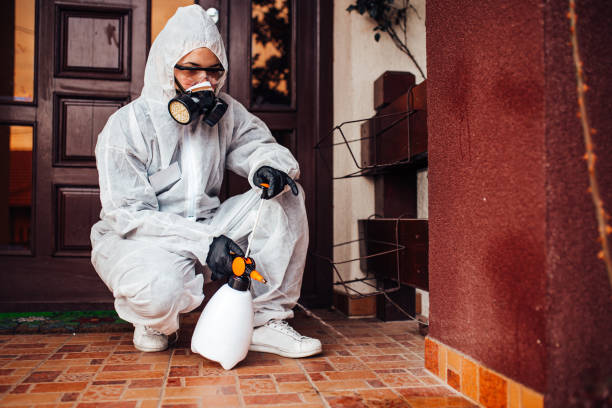 Reliable Cockroach Control contractor in Mountain Home AFB, ID by Nex Pest Control