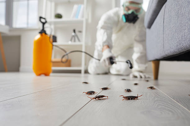 Trusted Rodent Control service in Mountain Home AFB, ID - Nex Pest Control